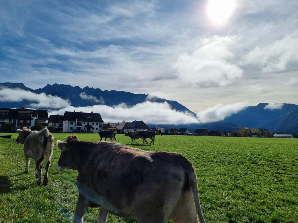 Urlaub Am Bauernhof Bei Familie Steinbrecher Bad Mitterndorf Εξωτερικό φωτογραφία