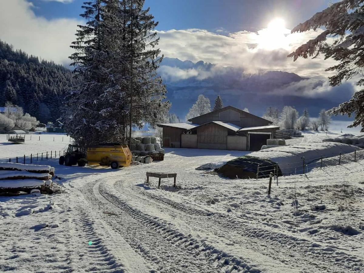 Urlaub Am Bauernhof Bei Familie Steinbrecher Bad Mitterndorf Εξωτερικό φωτογραφία